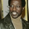 Wesley Snipes Starts Three-Year Jail Term